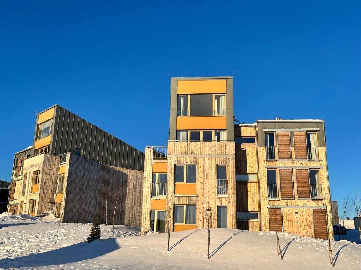 Meadows Apartments Klinovec Loučná pod Klínovcem 외부 사진