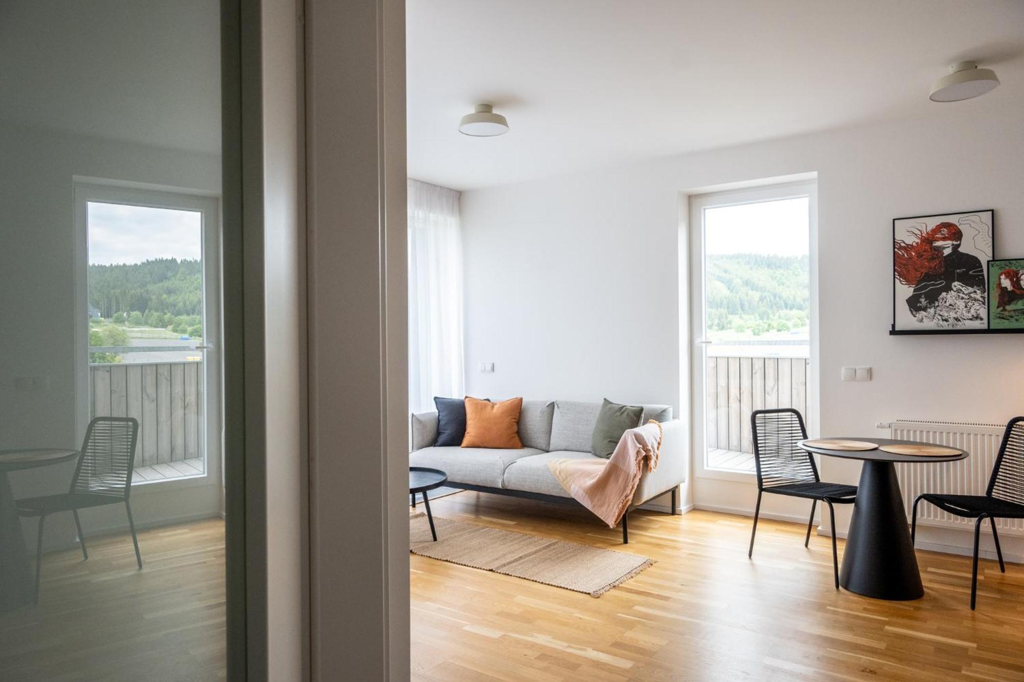 Meadows Apartments Klinovec Loučná pod Klínovcem 외부 사진