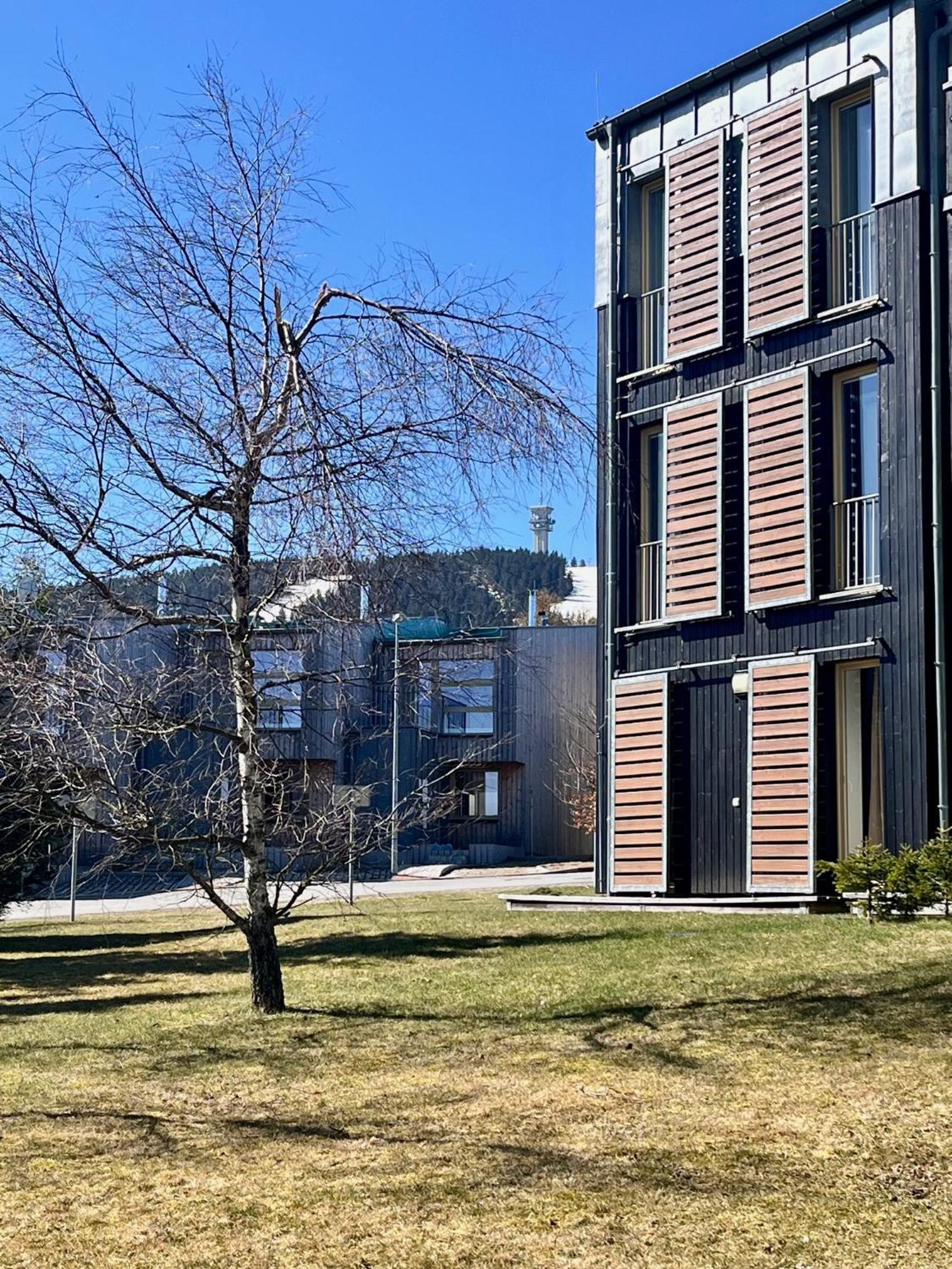 Meadows Apartments Klinovec Loučná pod Klínovcem 외부 사진